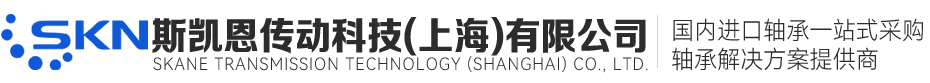 斯凯恩传动科技（上海）有限公司
