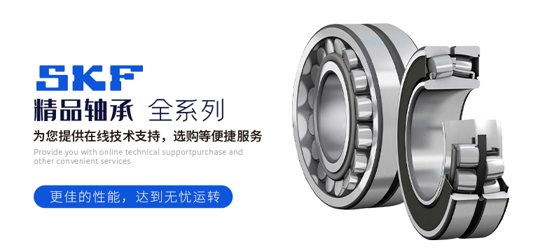 斯凯恩传动科技（上海）有限公司